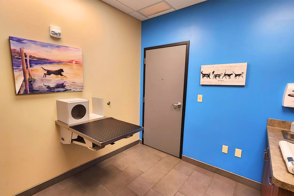 vet exam room