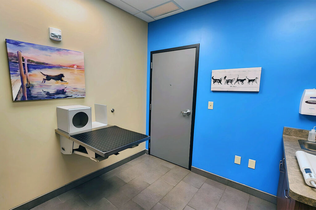 vet exam room